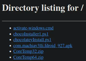 Example of "Directory listing for /"